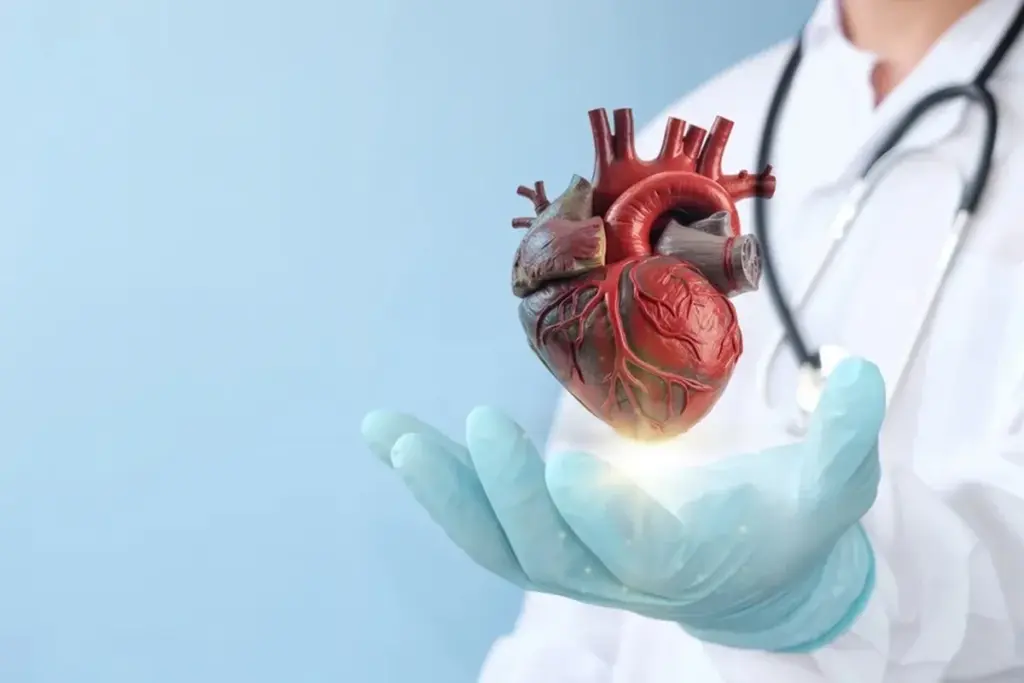 Riskiest Heart Surgery: The Crucial Serious Procedure Fact